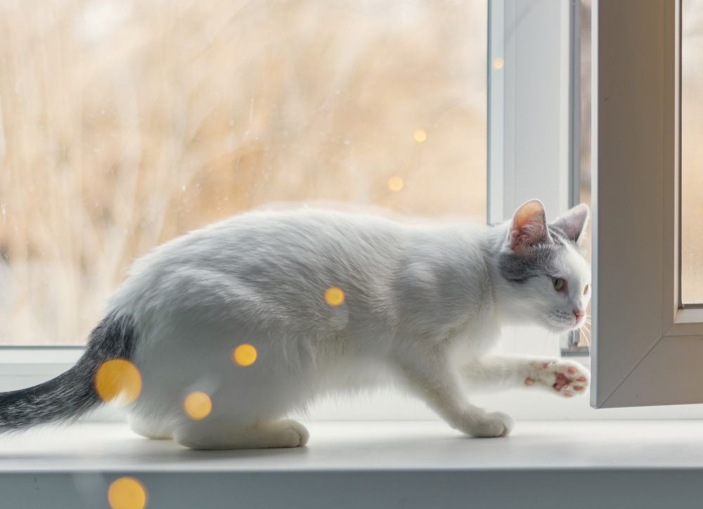 Photograph by Наталия Уракина