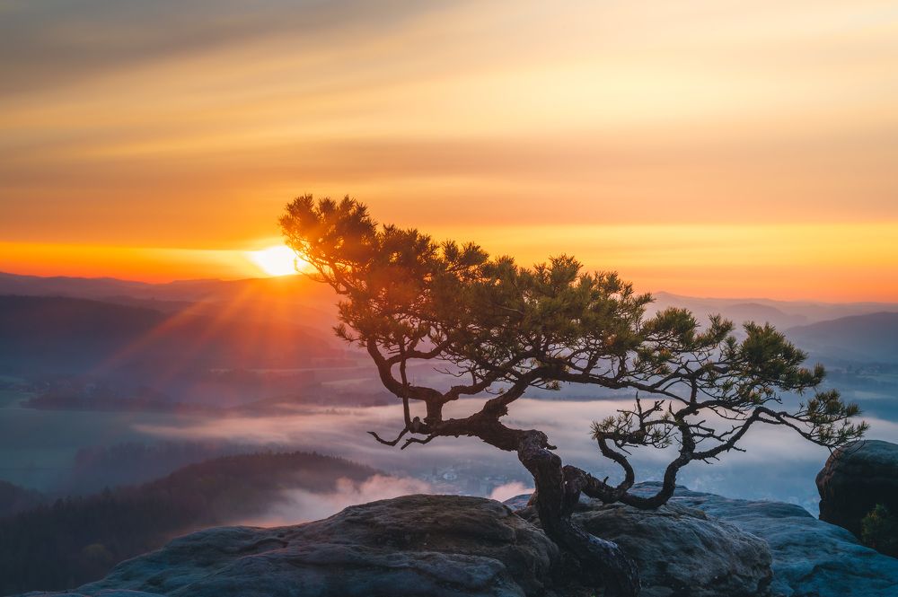 Photograph by Tomas Jurnik