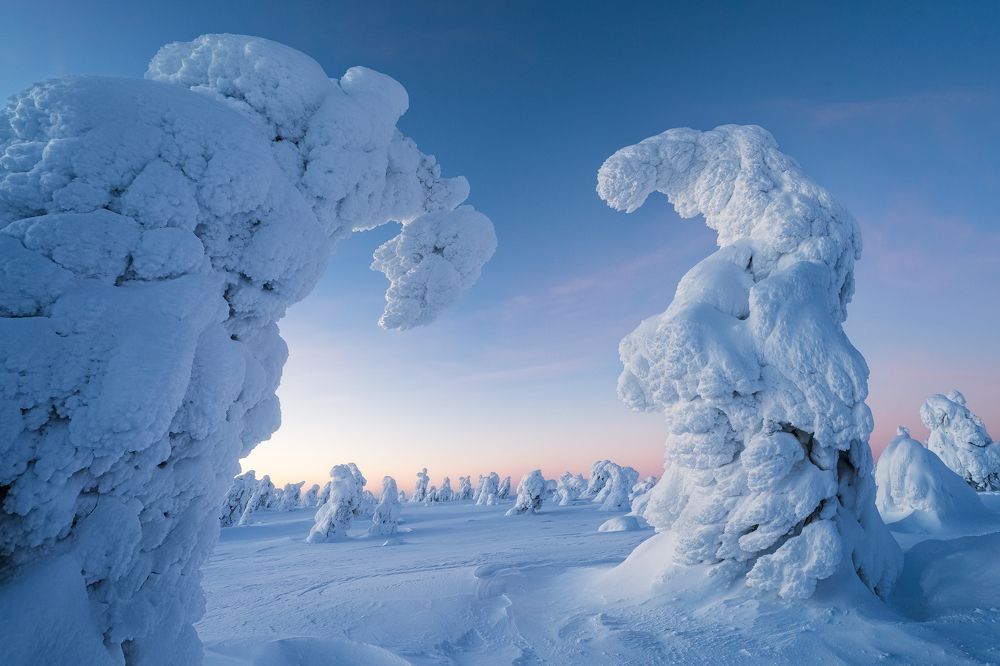 Photograph by Stefano Balma