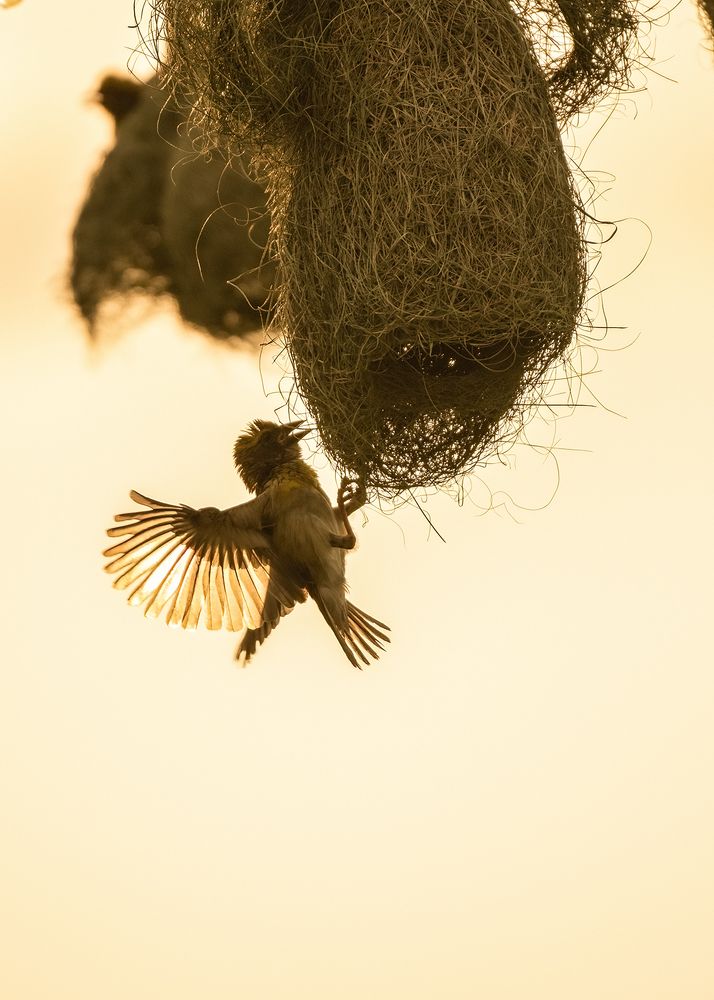 Photograph by JISHNUDEV PULINKUZHY