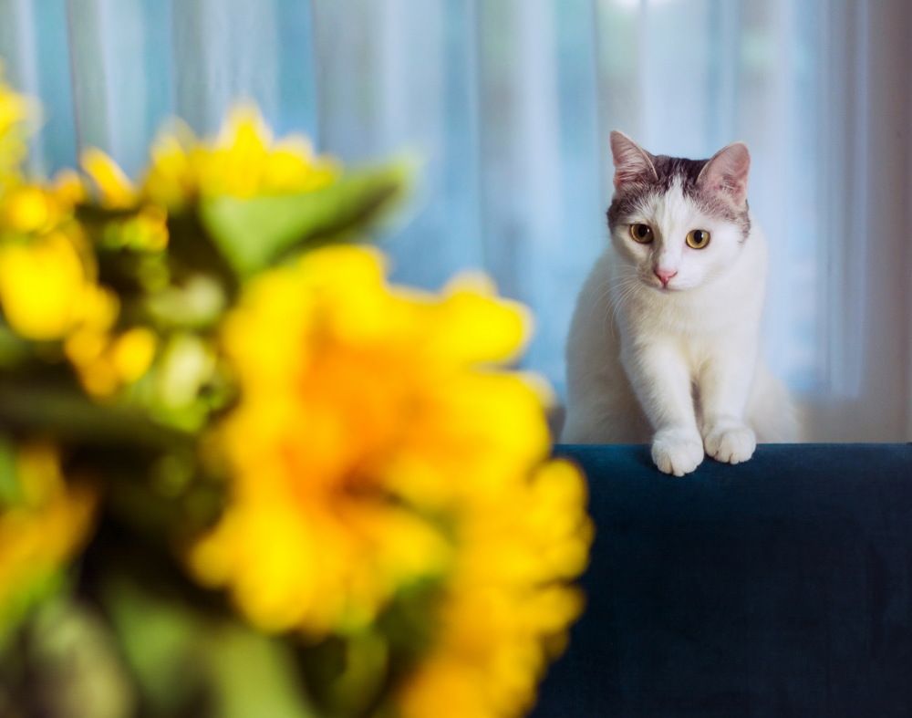 Photograph by Наталия Уракина
