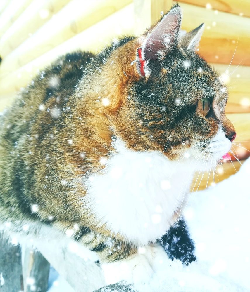 Photograph by Мария