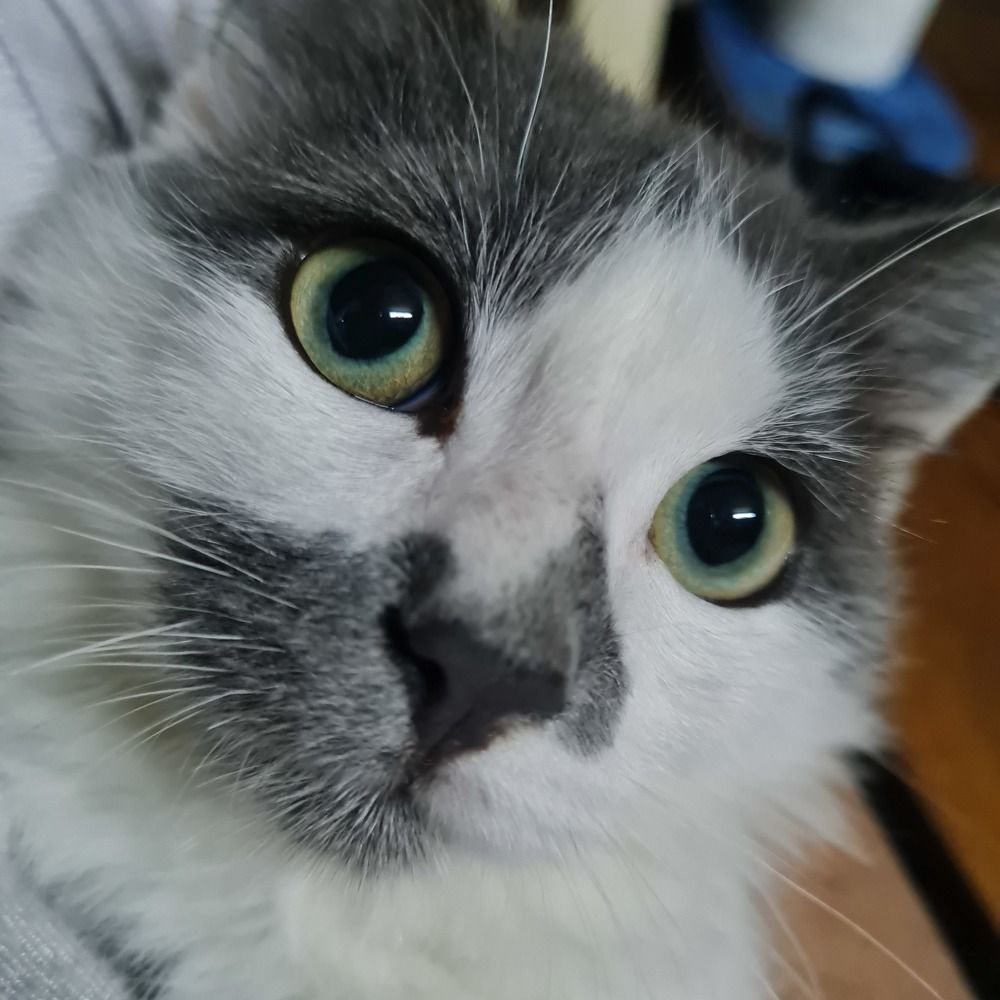 Photograph by Anastasia Tsatsou