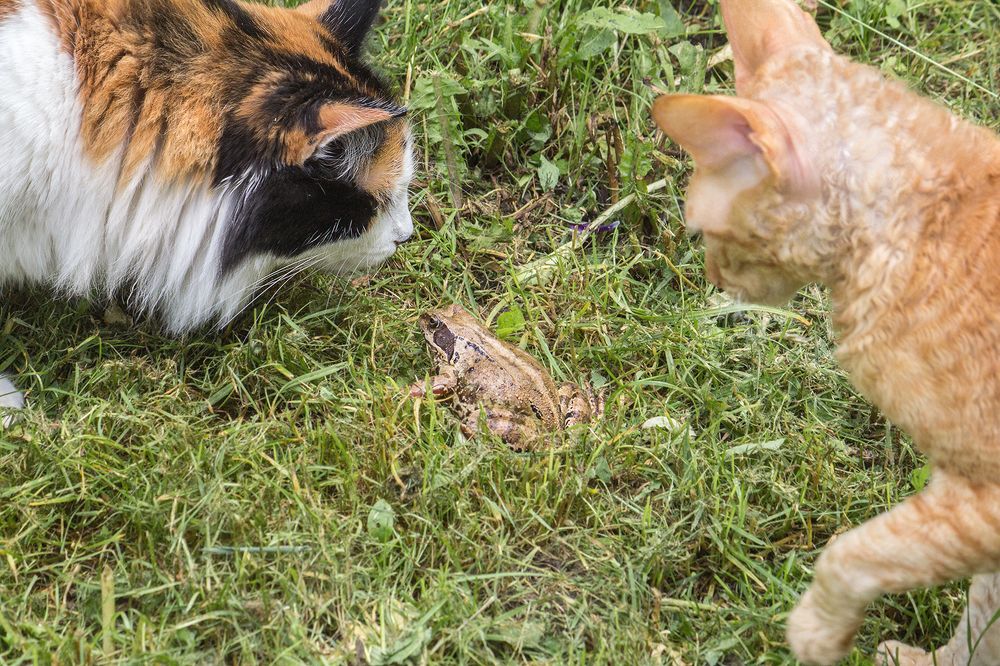 Фотография автора Борис Журавлёв