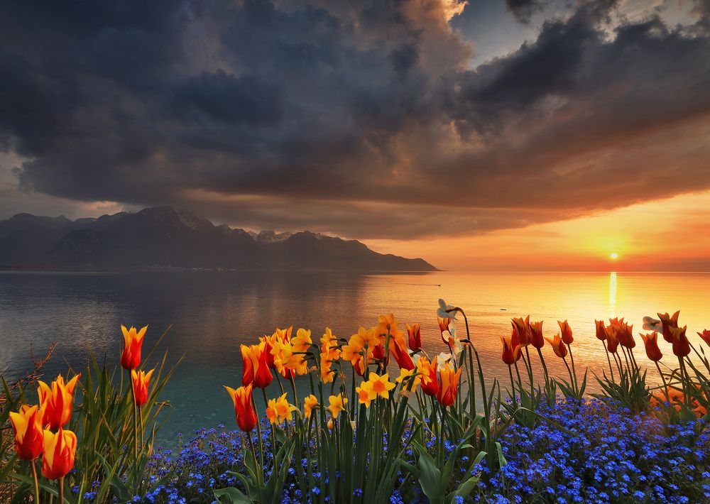 Photograph by Николай Матвеев