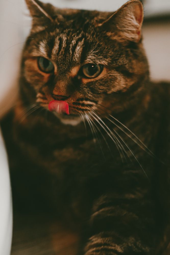 Photograph by Лариса Кухненко