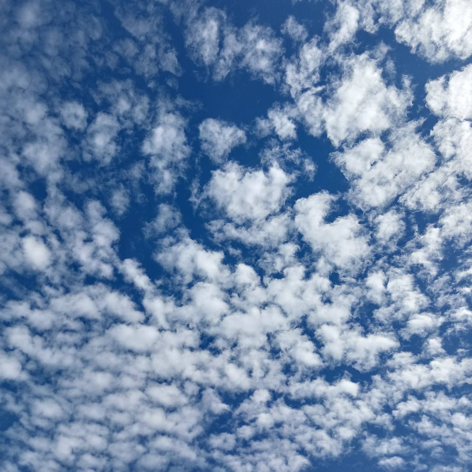 Photo #8838770
