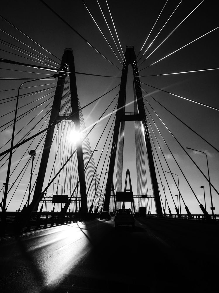 Навстречу свету