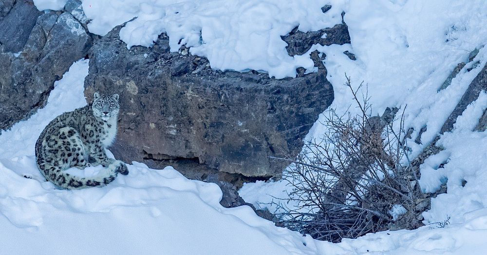 Photograph by Bidyut Saikia