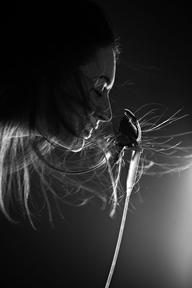 Фотография автора Igor Goncharov