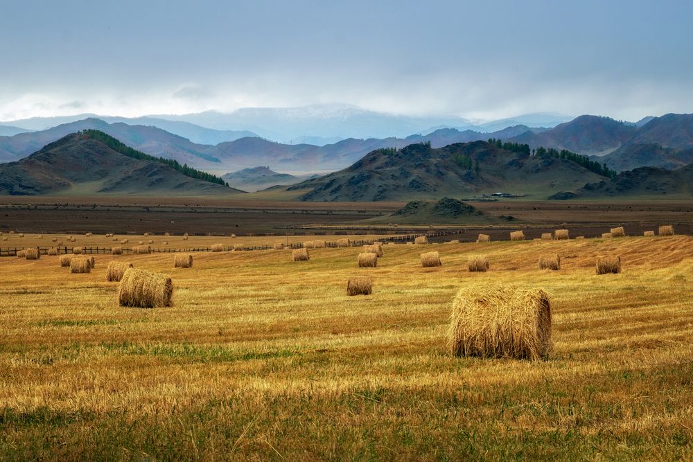Photograph by Лора Павлова