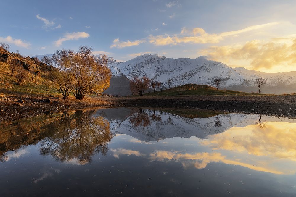 Gomi Felaw in Automn