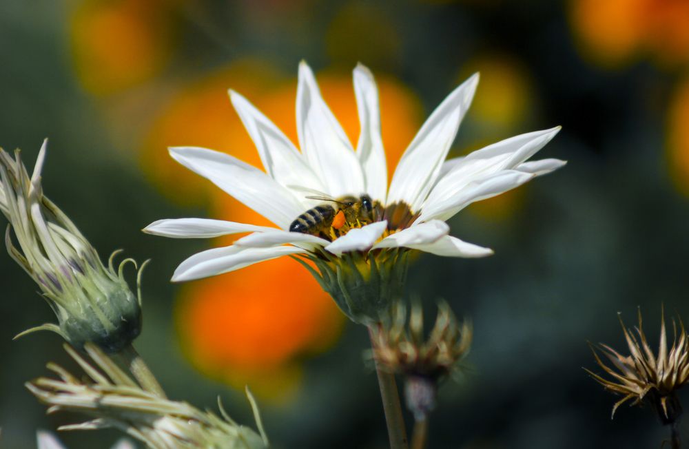 Photograph by Stamen Sotirov