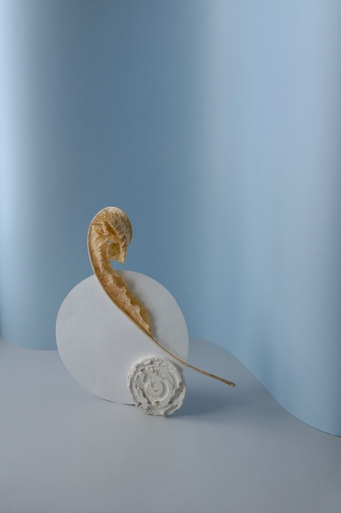 Фотография автора Светлана Бобошина