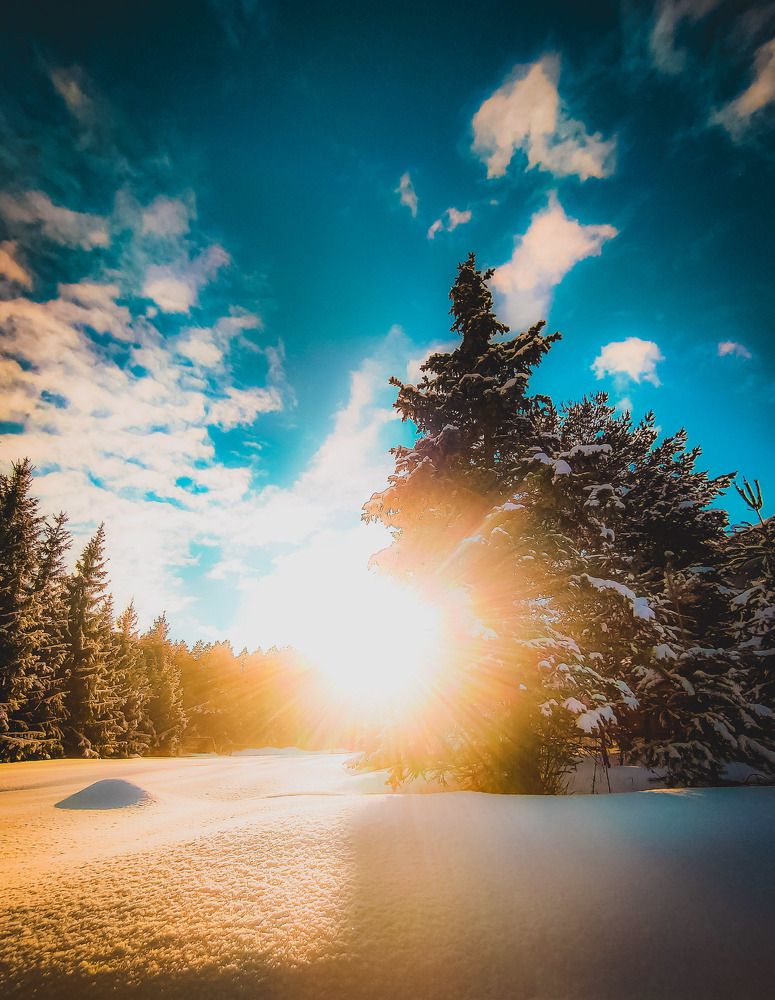 Photograph by Николай Яковлев