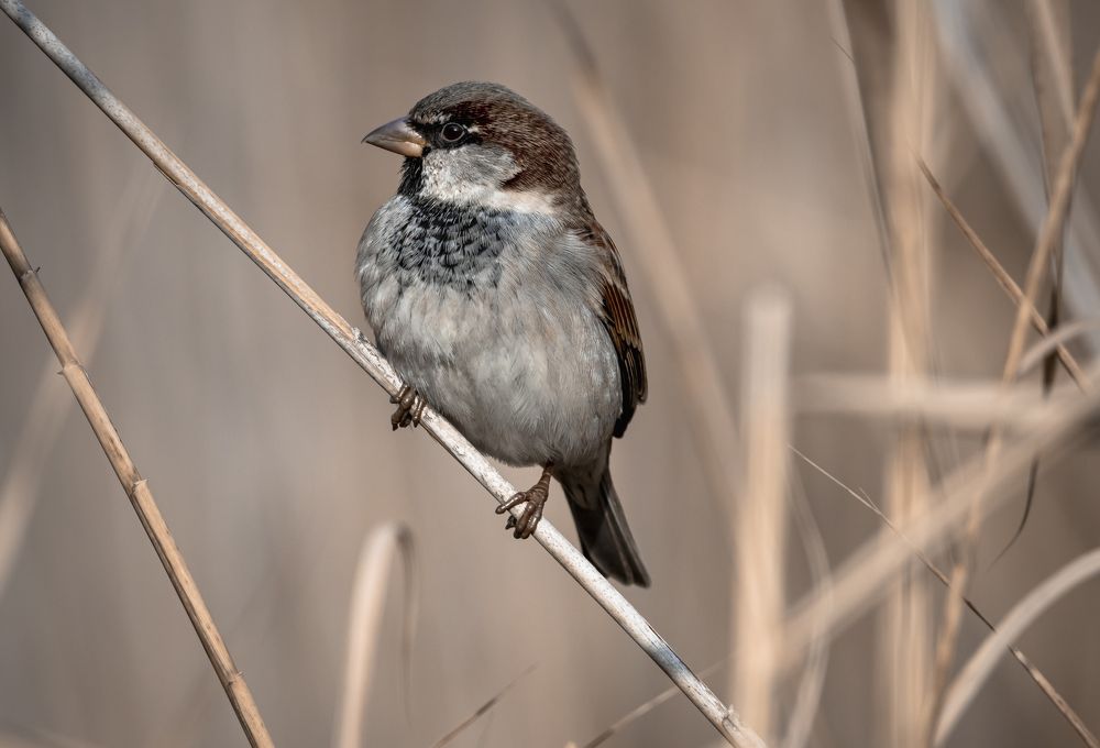 Photograph by Stamen Sotirov