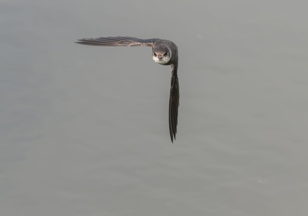 Photograph by Наталья