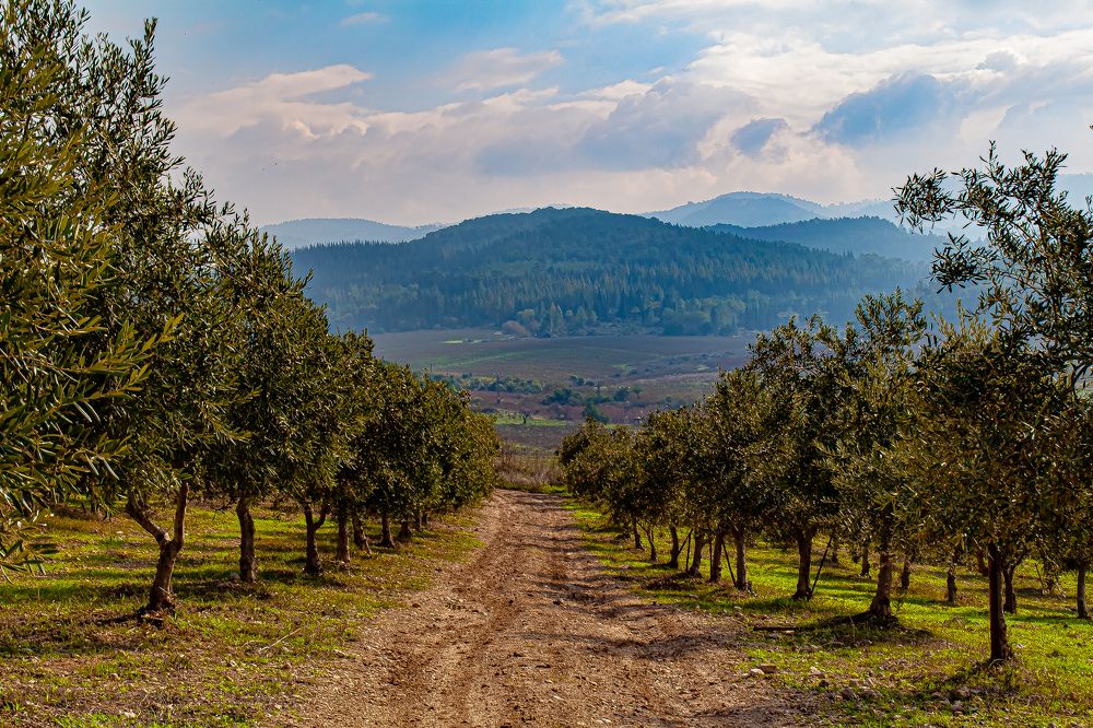 Photograph by Emin Mukhtarov