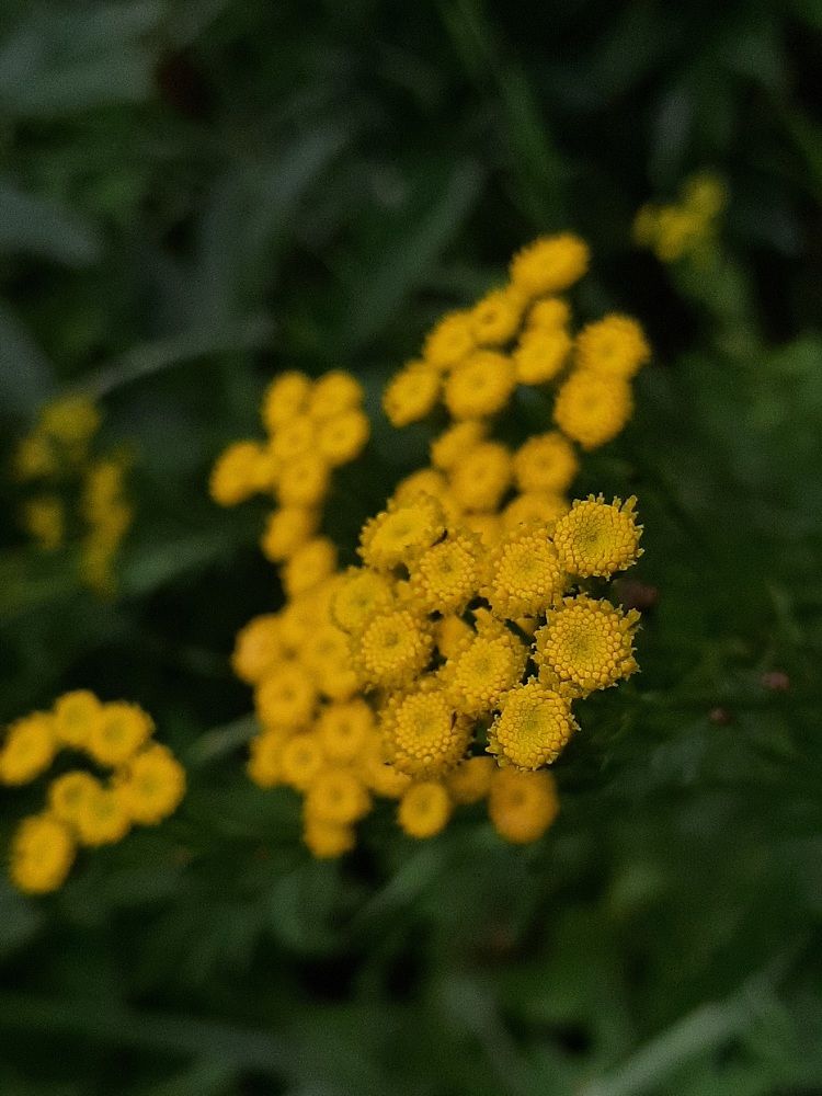 Photograph by Оксана Антипова