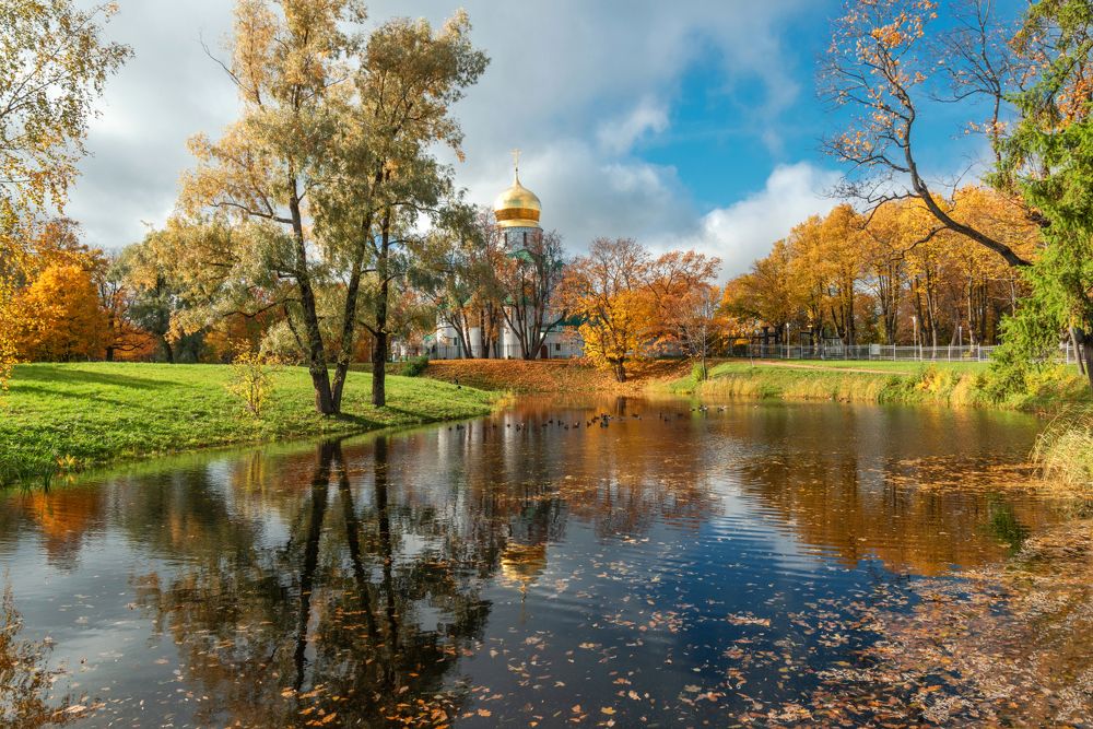 Царскосельская золотая осень