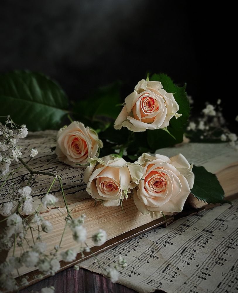 Photograph by Helen Ka