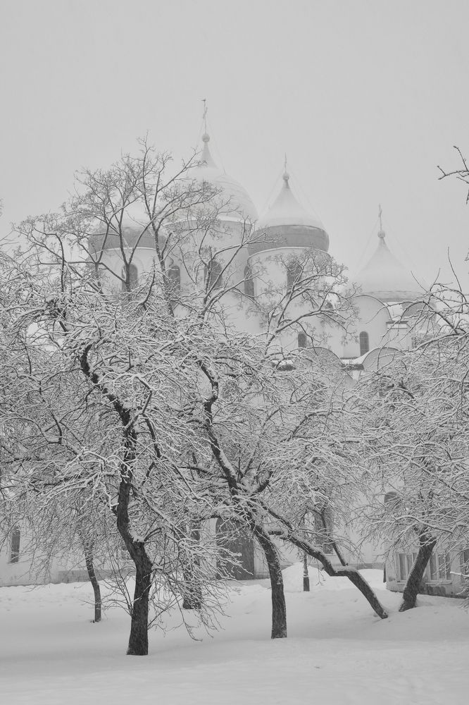 Photograph by Александр Калегин