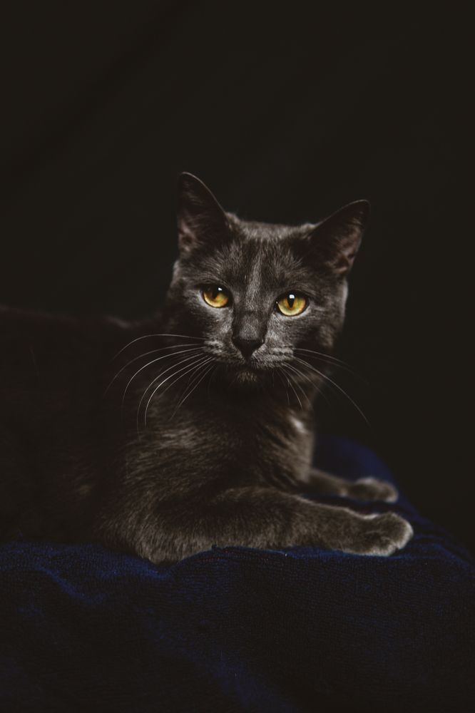 Photograph by Elena Novikova