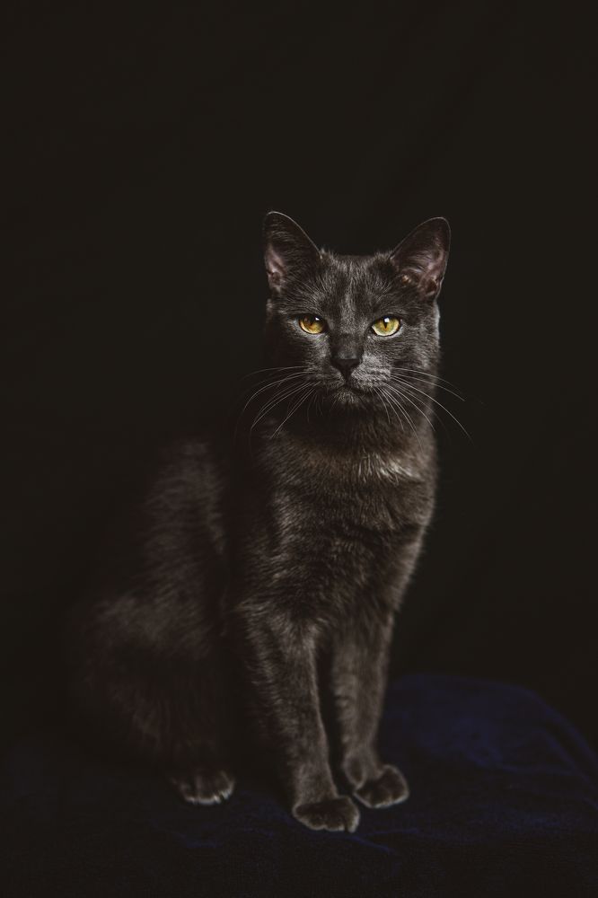 Photograph by Elena Novikova