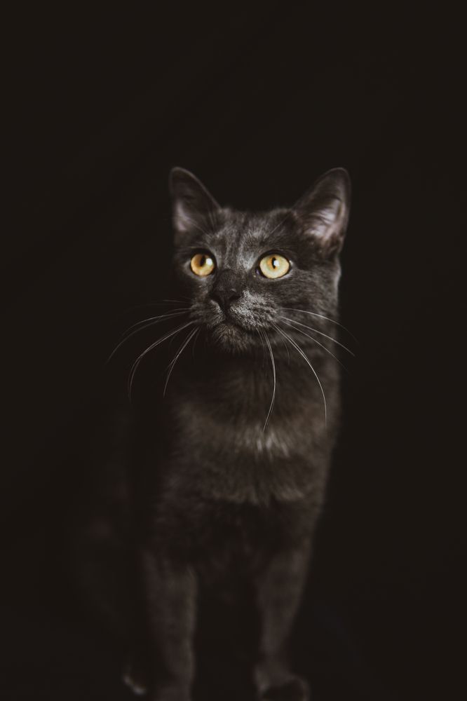 Photograph by Elena Novikova