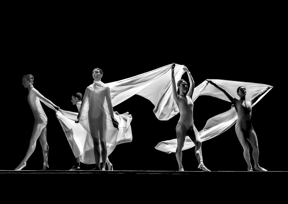 "ЖЕНЩИНЫ В БЕЛОМ".