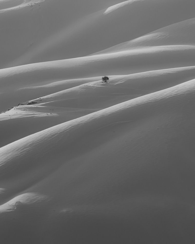 Фотография автора mohammad Alipour