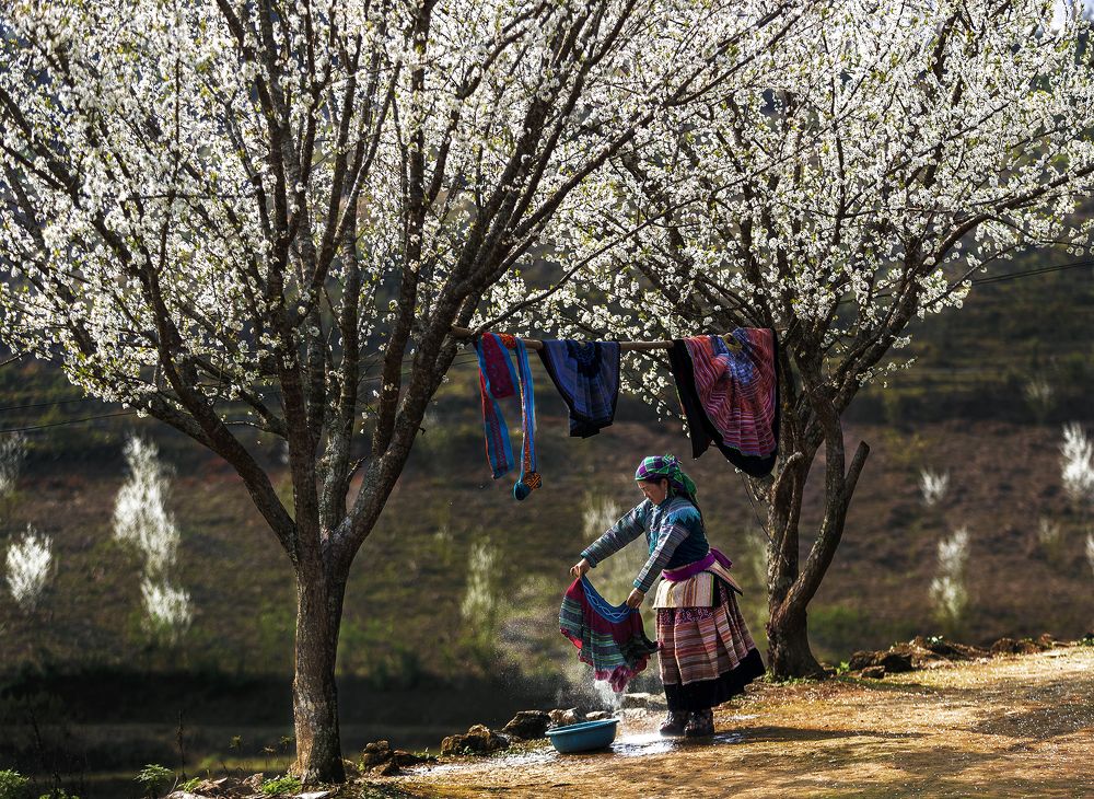 Photograph by Nguyễn Ngọc Tuấn