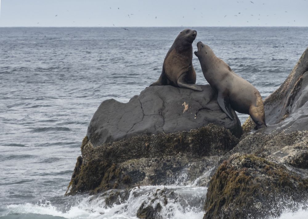 Photograph by Галина Михоношина