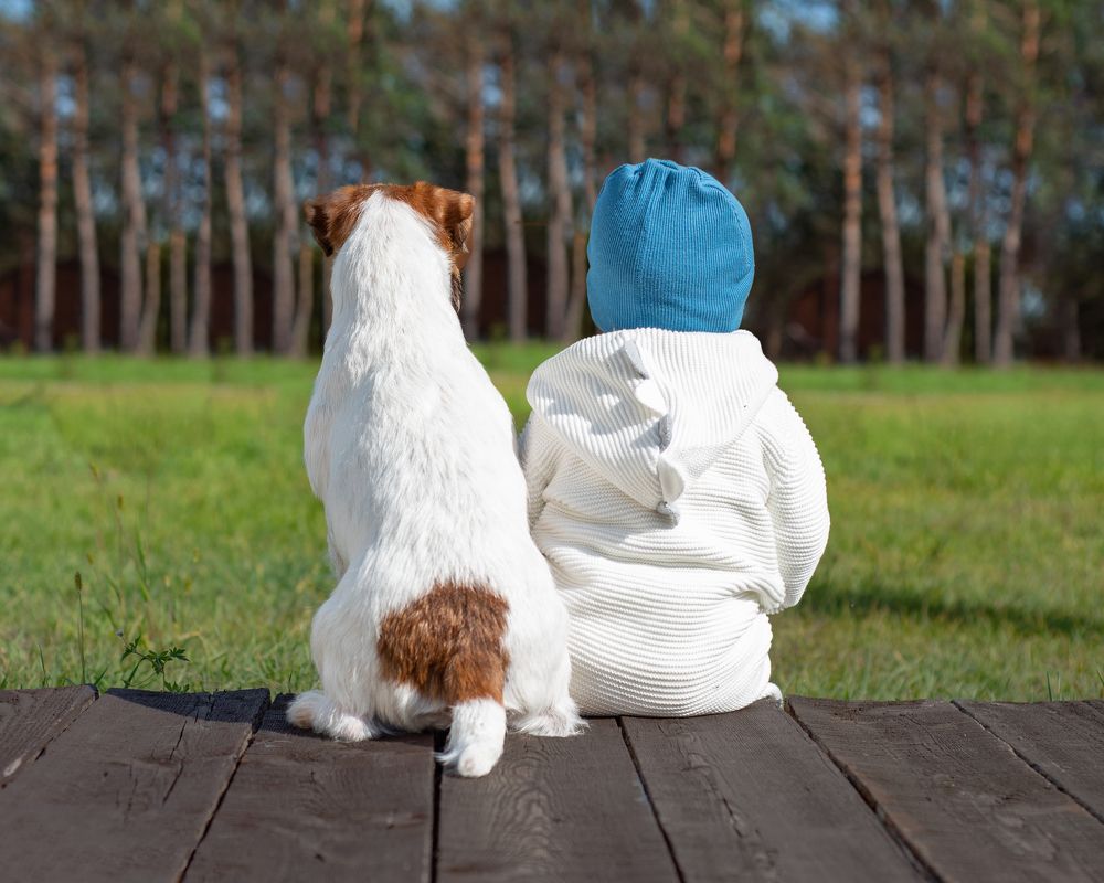 Photograph by Виктория Сафонова