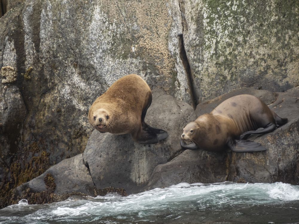 Photograph by Галина Михоношина