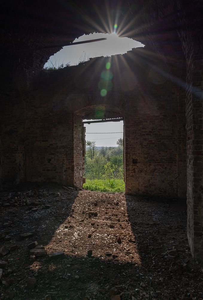 Photograph by Алина Еникеева