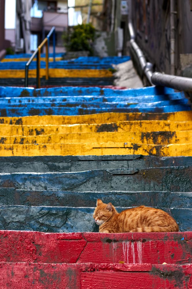 Photograph by Ксения