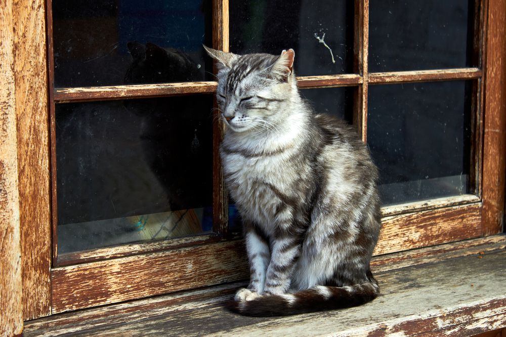 Photograph by Ксения