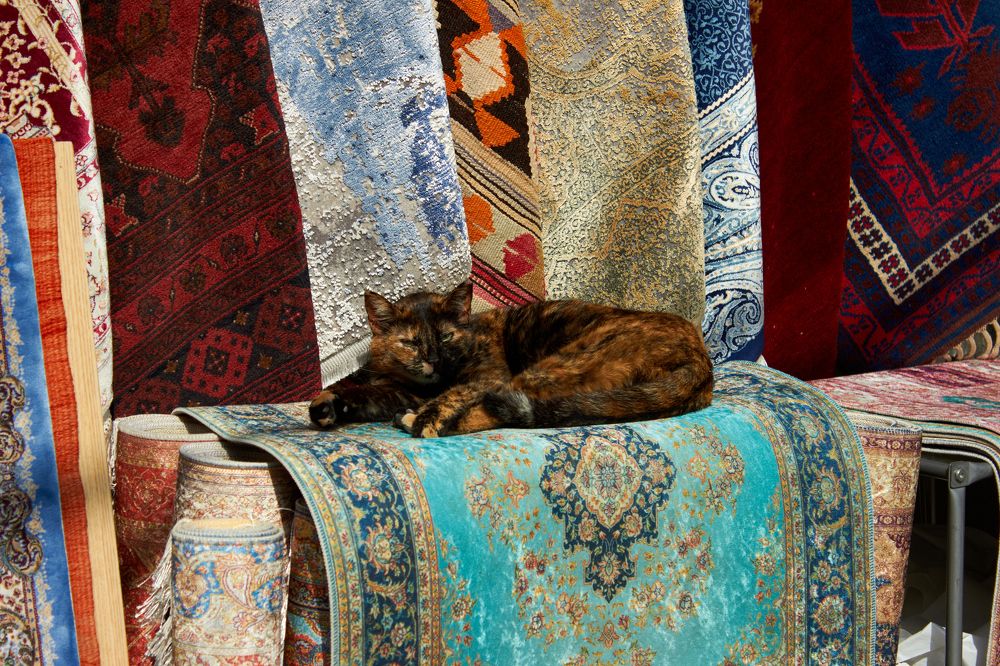 Photograph by Ксения