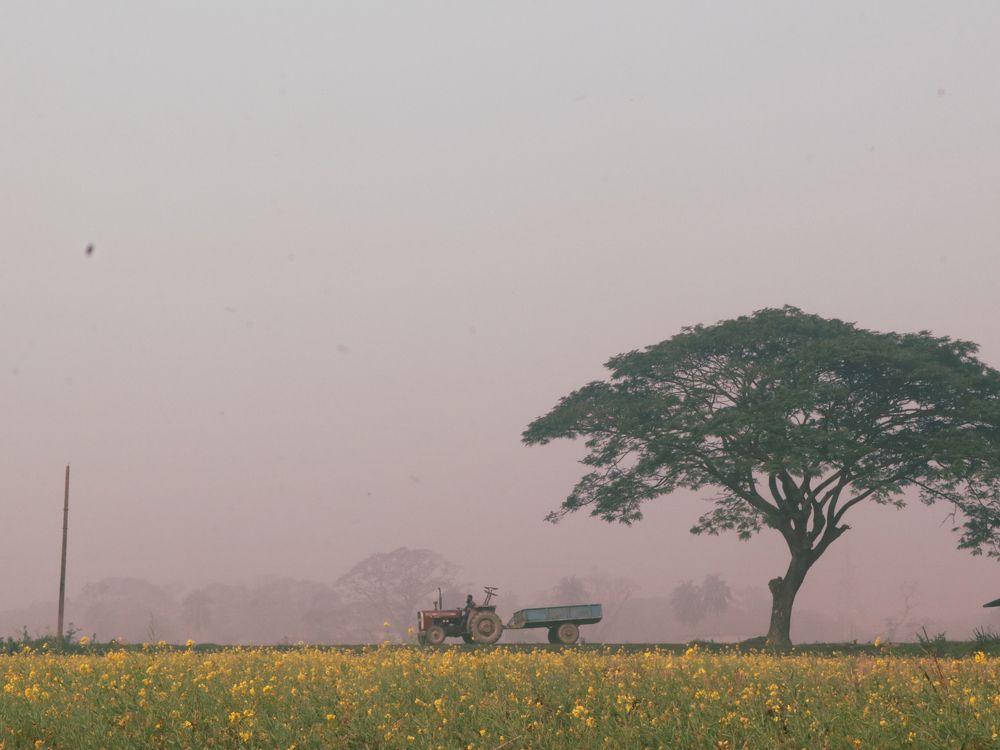 Фотография автора Mahir Anjum