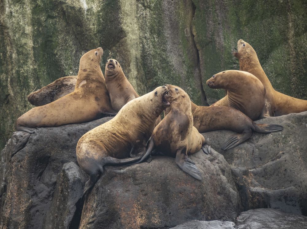 Photograph by Галина Михоношина