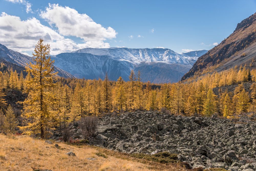 Photograph by Татьяна