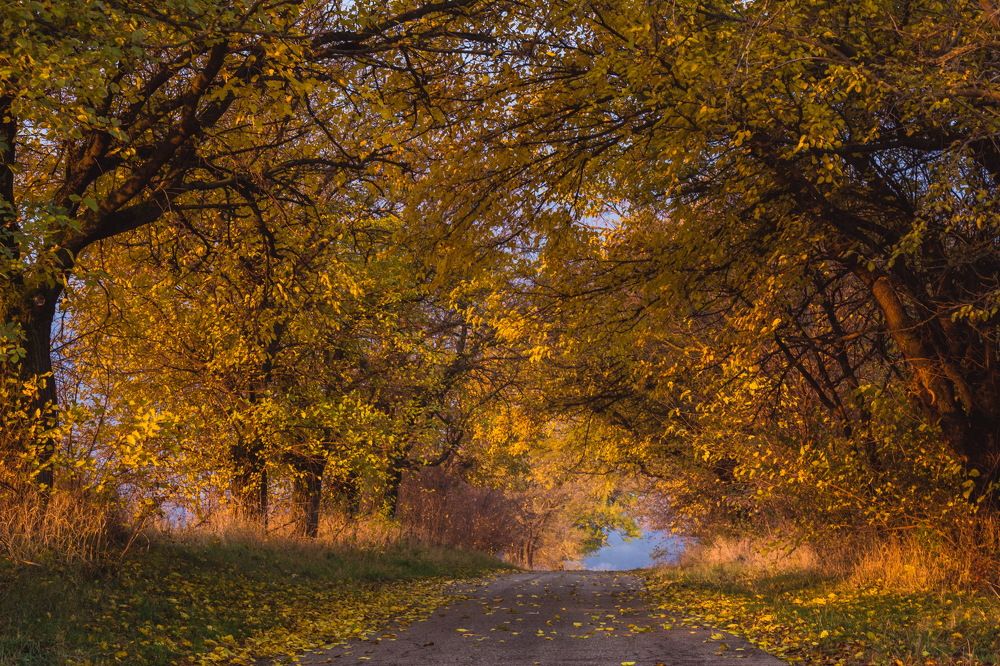 Photograph by Наталия Уракина