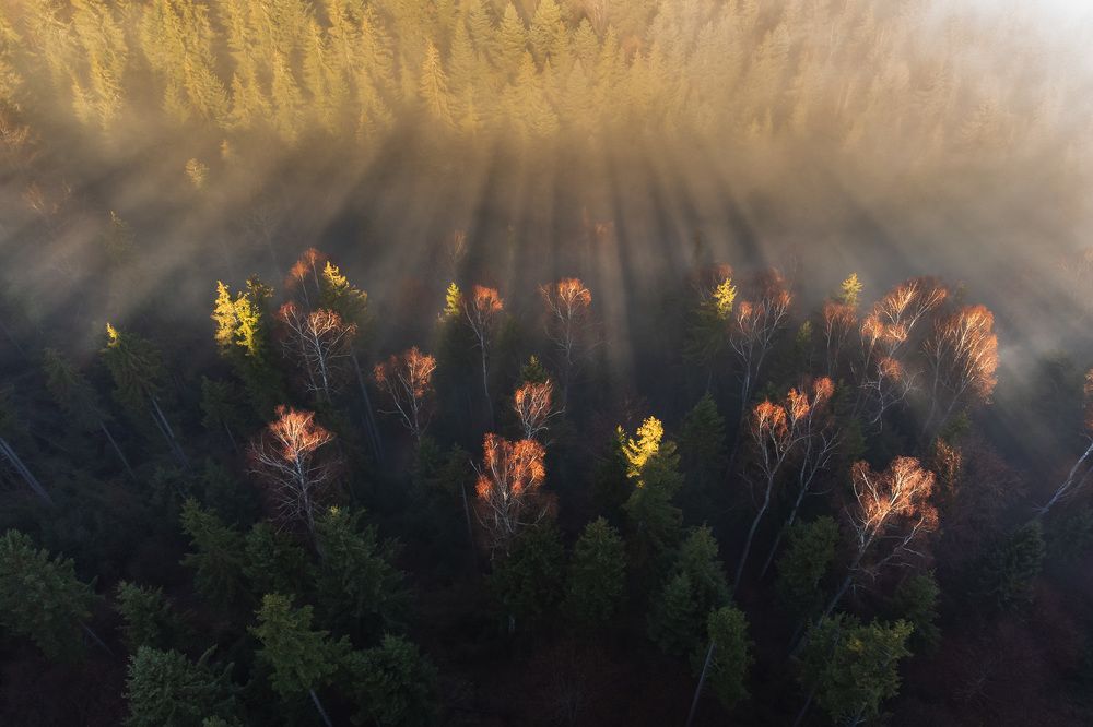 Photograph by Alex Coman