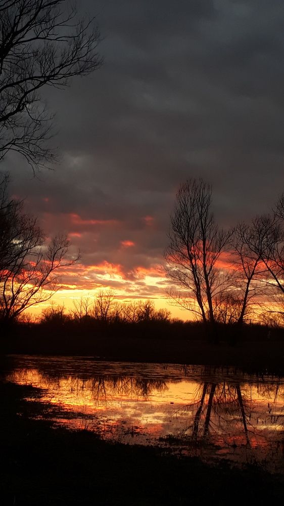 Photo #8839523