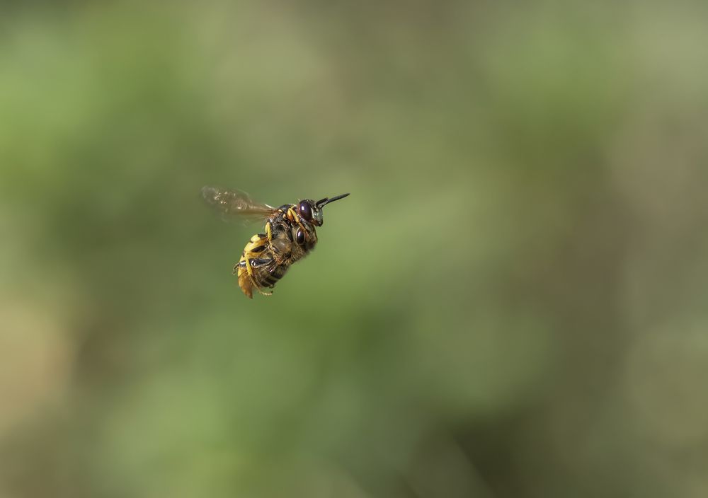 Photograph by Наталья