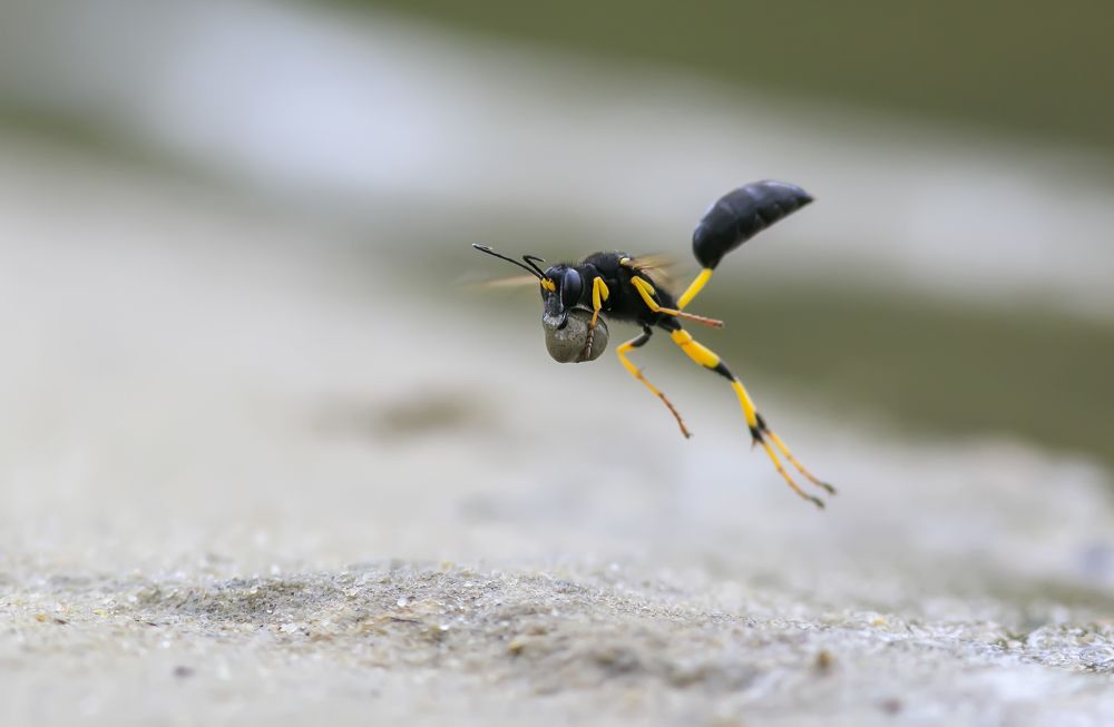 Photograph by Наталья