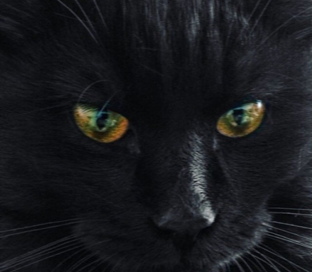 Фотография автора Дмитрий Петров