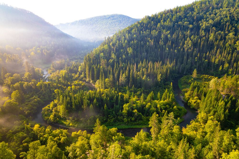 Базаиха - река таёжная