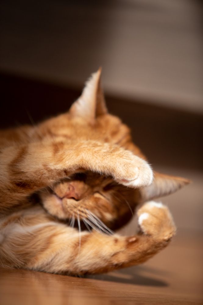 Photograph by Татьяна Немова